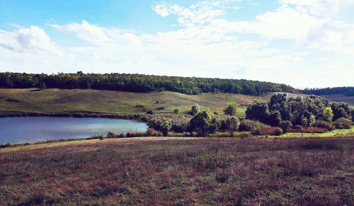 Ново-Михайлівський ландшафтний заказник